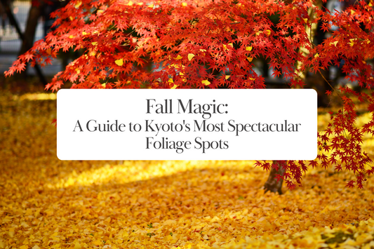 Fall Magic: A Guide to Kyoto's Most Spectacular Foliage Spots