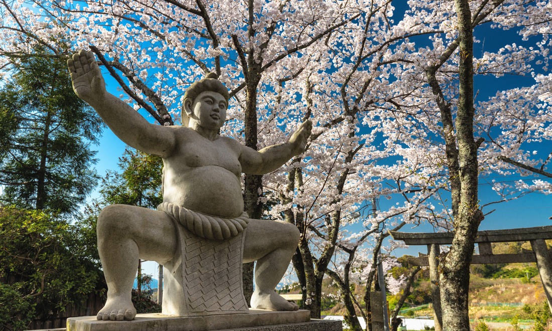 Inside the Ring: A Glimpse into the World of Sumo