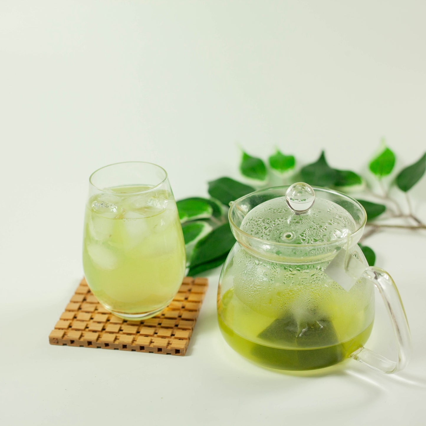 Cold Brew Japanese Green Tea (with matcha, 20 bags)