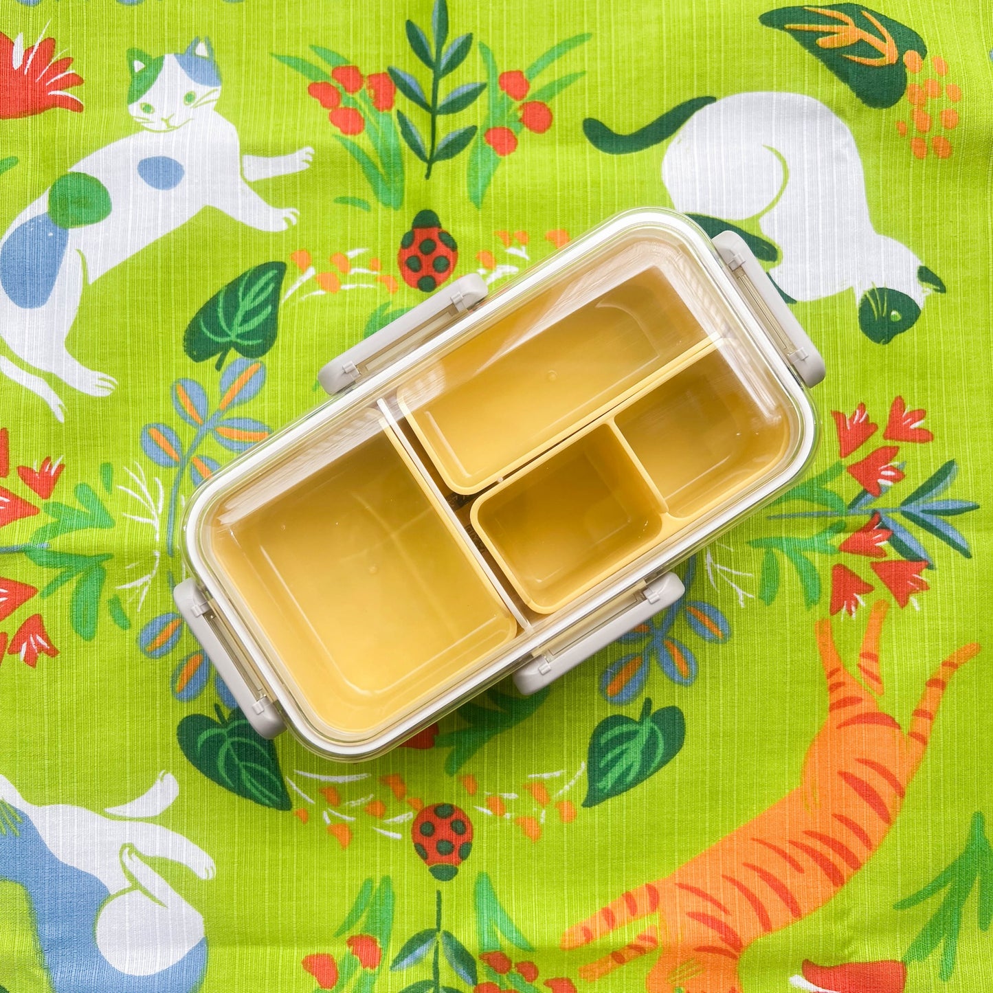 Shikiri Slim Bento Box | 530ml