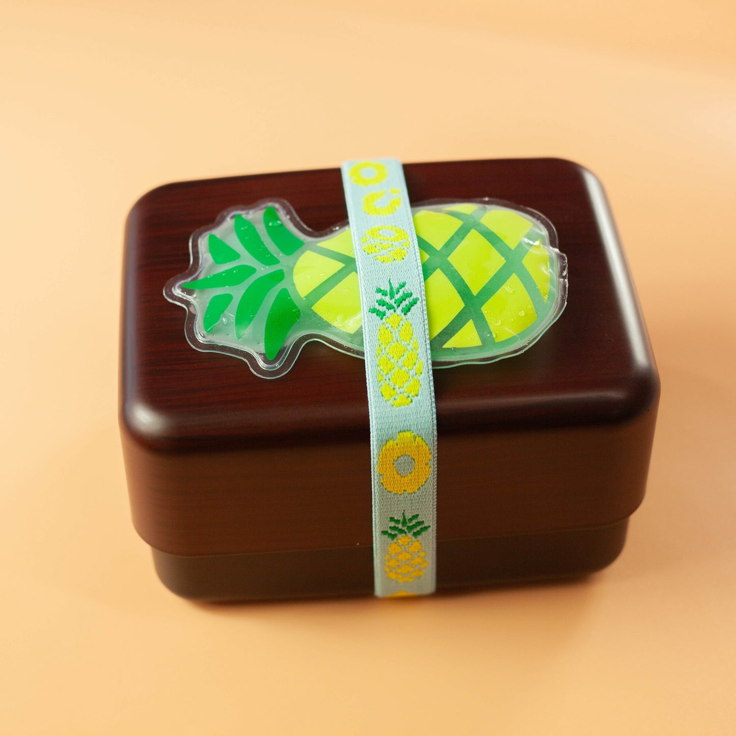Ice Pack & Lunch Band Set | Fruits