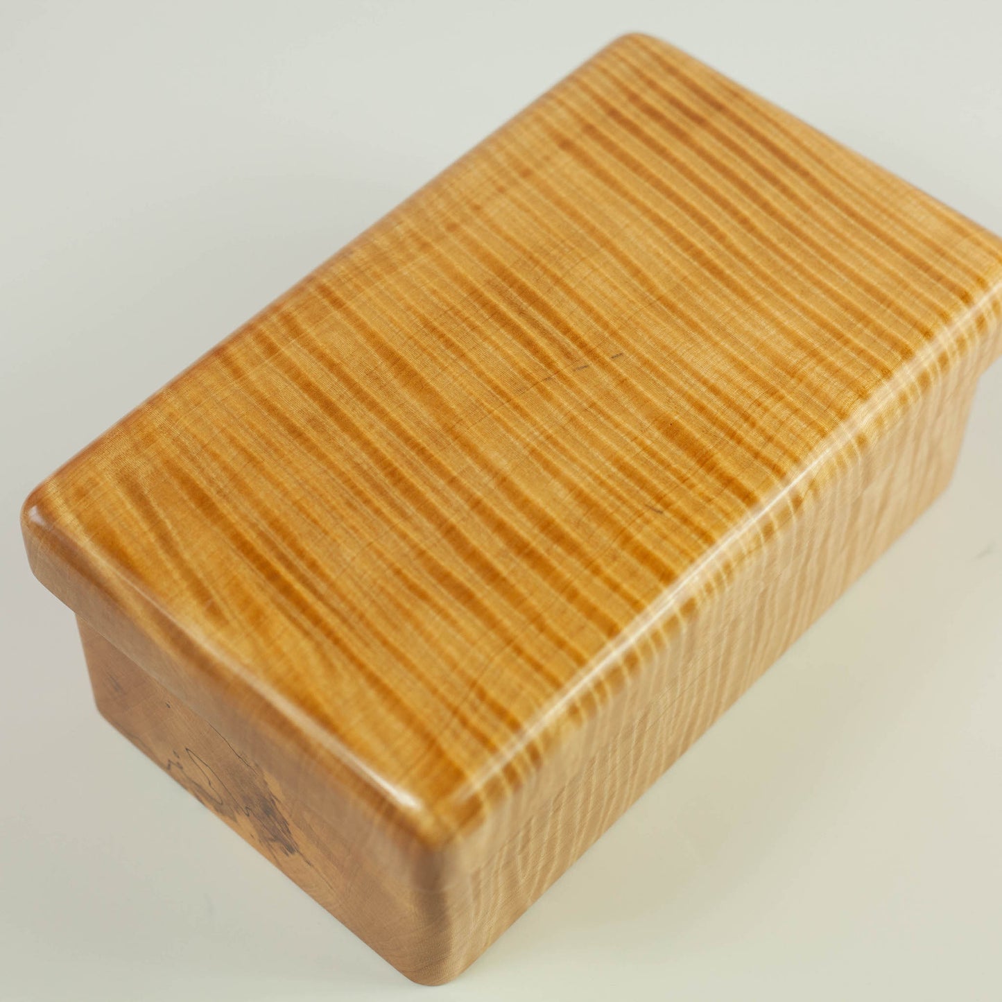 Miyama Bento Box 295 | Joumoku Tochi