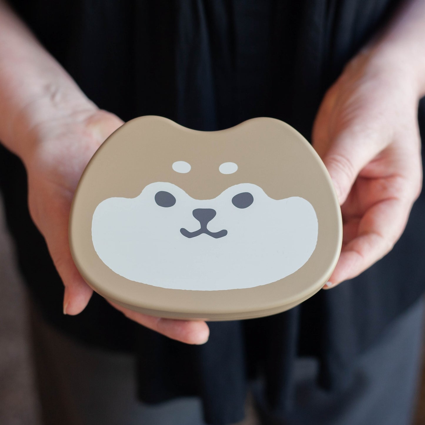 Animal Friends One-Tier Bento Box | Shibainu