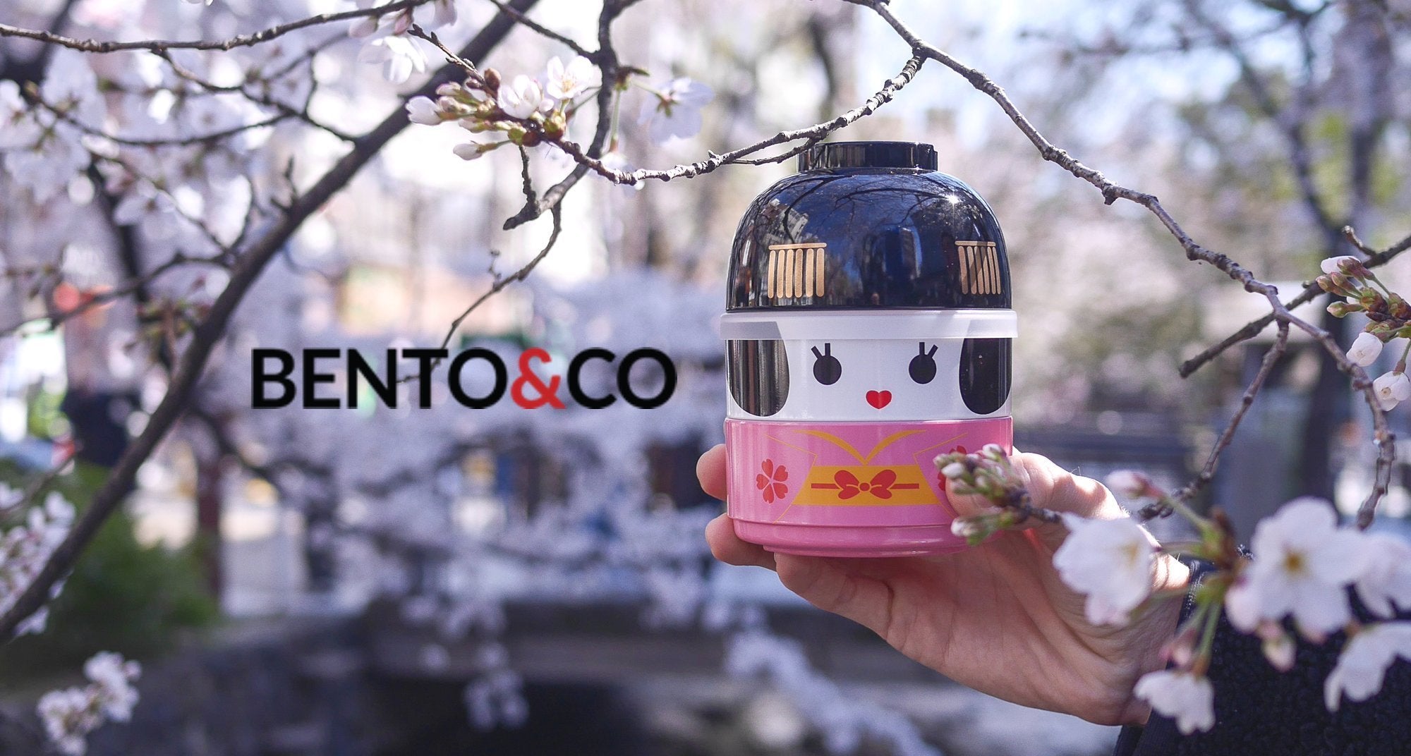 Shokado Ajiro Bento Box - Traditional Japanese Bento – Bento&co