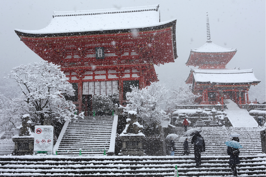 A Snowy Wonderland: Kyoto in January 2022