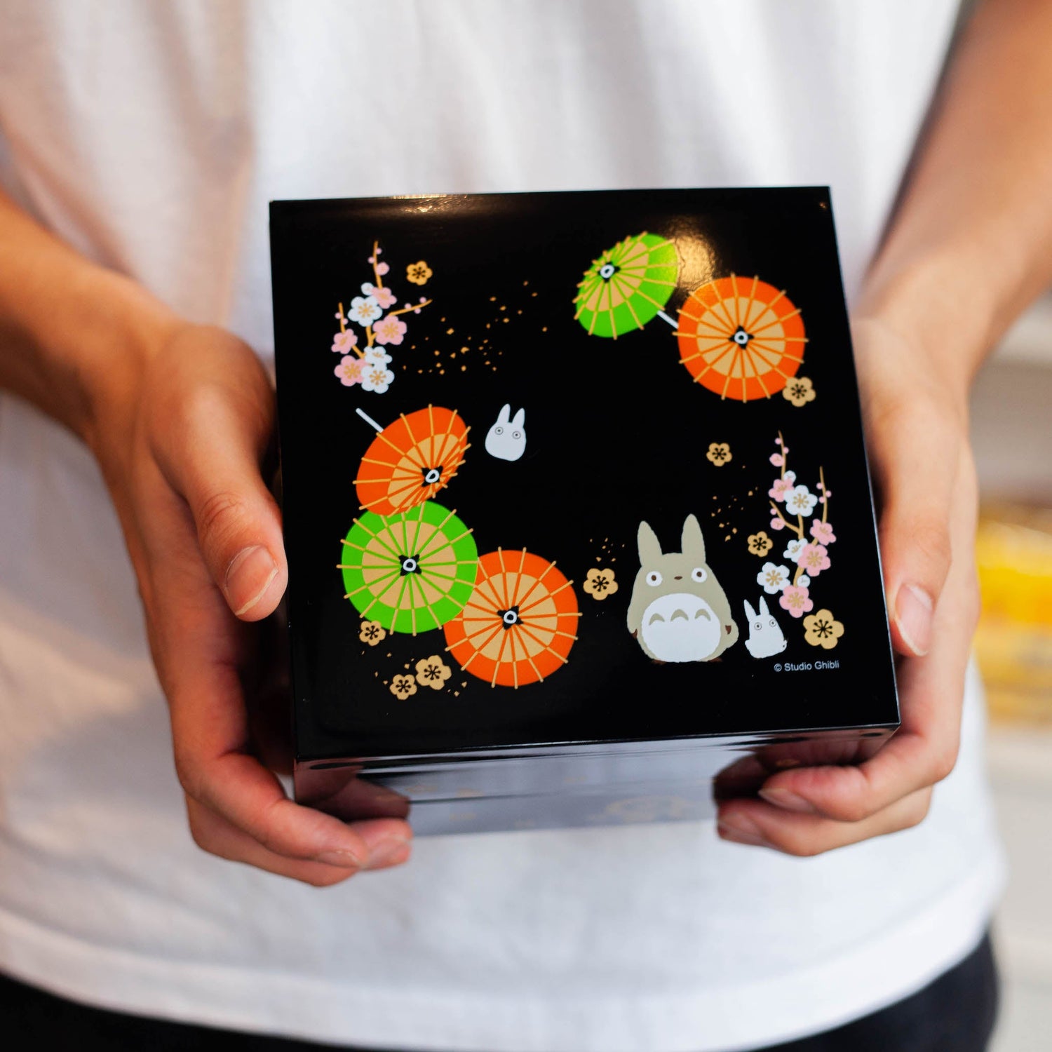 Skater Character Bento Boxes | Pokemon, Ghibli & More
