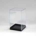 Display Case for Miniatuart