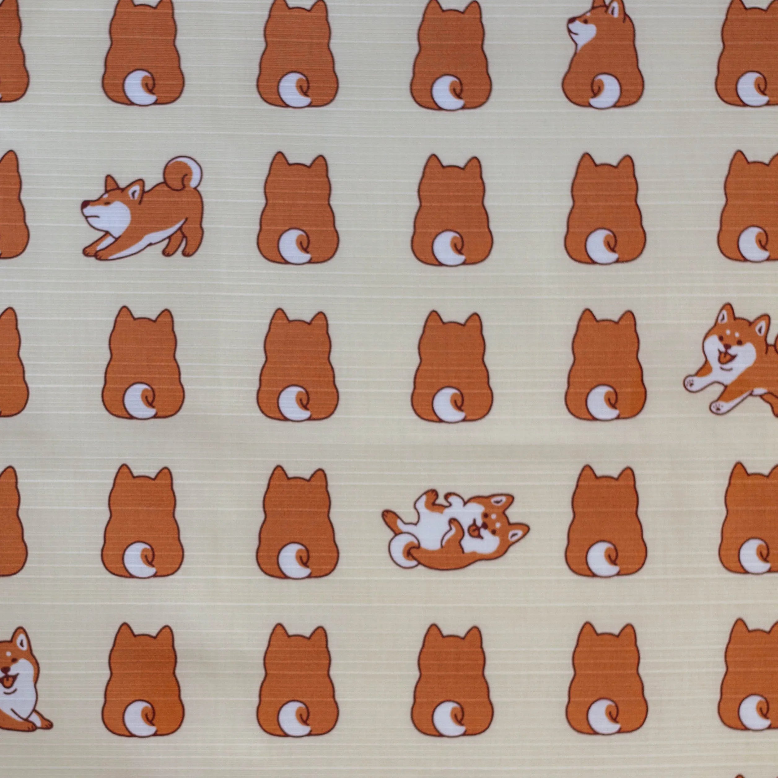 Shiba Inu Furoshiki 50cm
