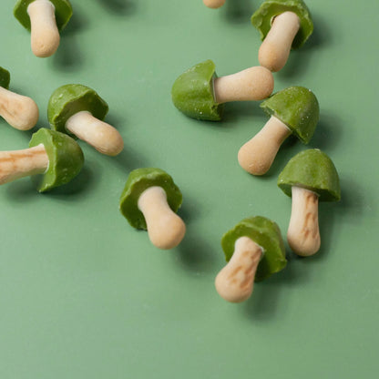 Galletas de chocolate y matcha Kinoko