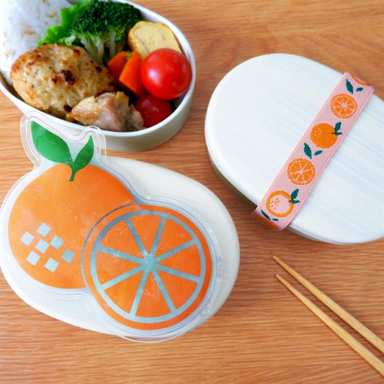 Set de bolsa de hielo y banda para el almuerzo | Frutas
