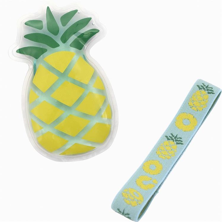 Set de bolsa de hielo y banda para el almuerzo | Frutas