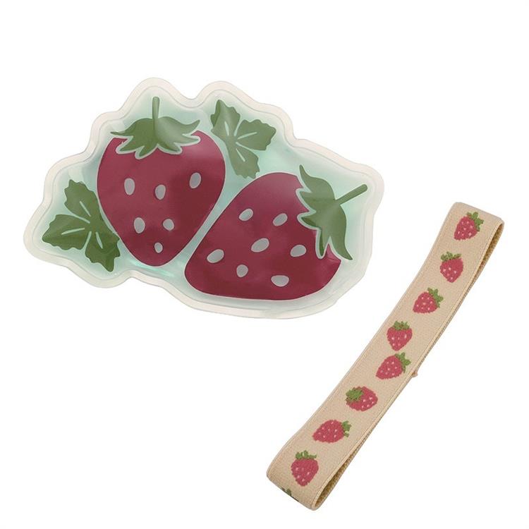 Set de bolsa de hielo y banda para el almuerzo | Frutas