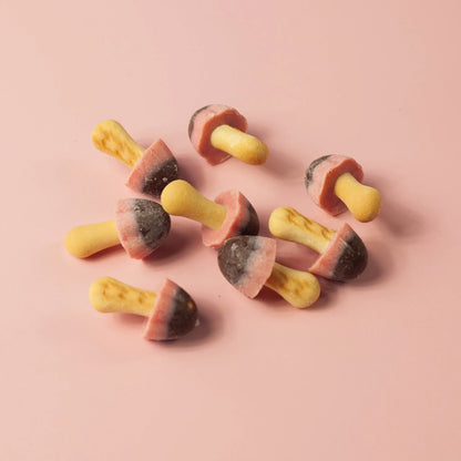 Kinoko Erdbeer- und Schokoladenkekse