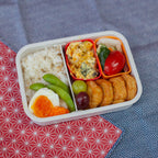 Miffy Einstöckige Bento-Box | Blumen, 550 ml