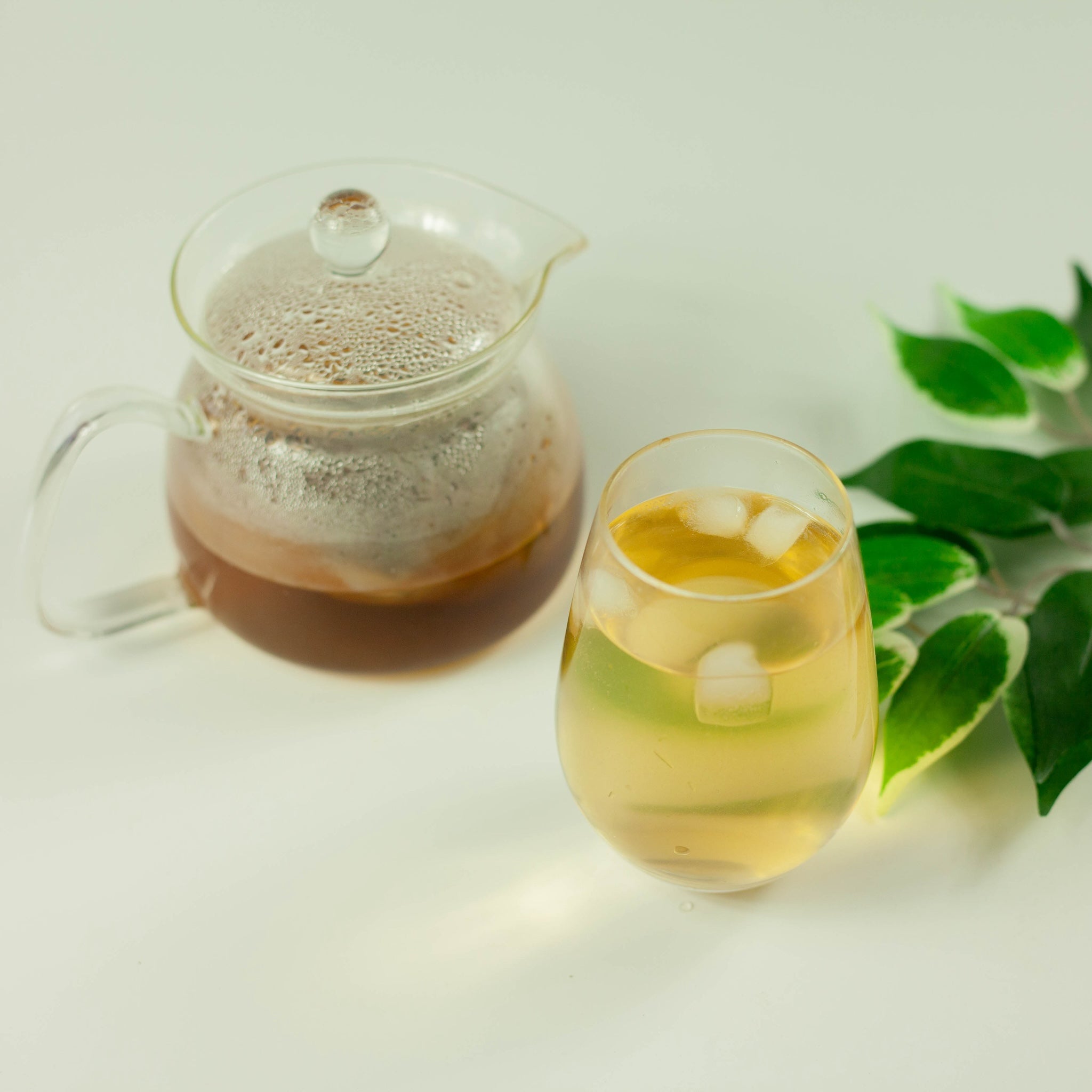 Cold Brew Mugicha Barley Tea (10 bags)