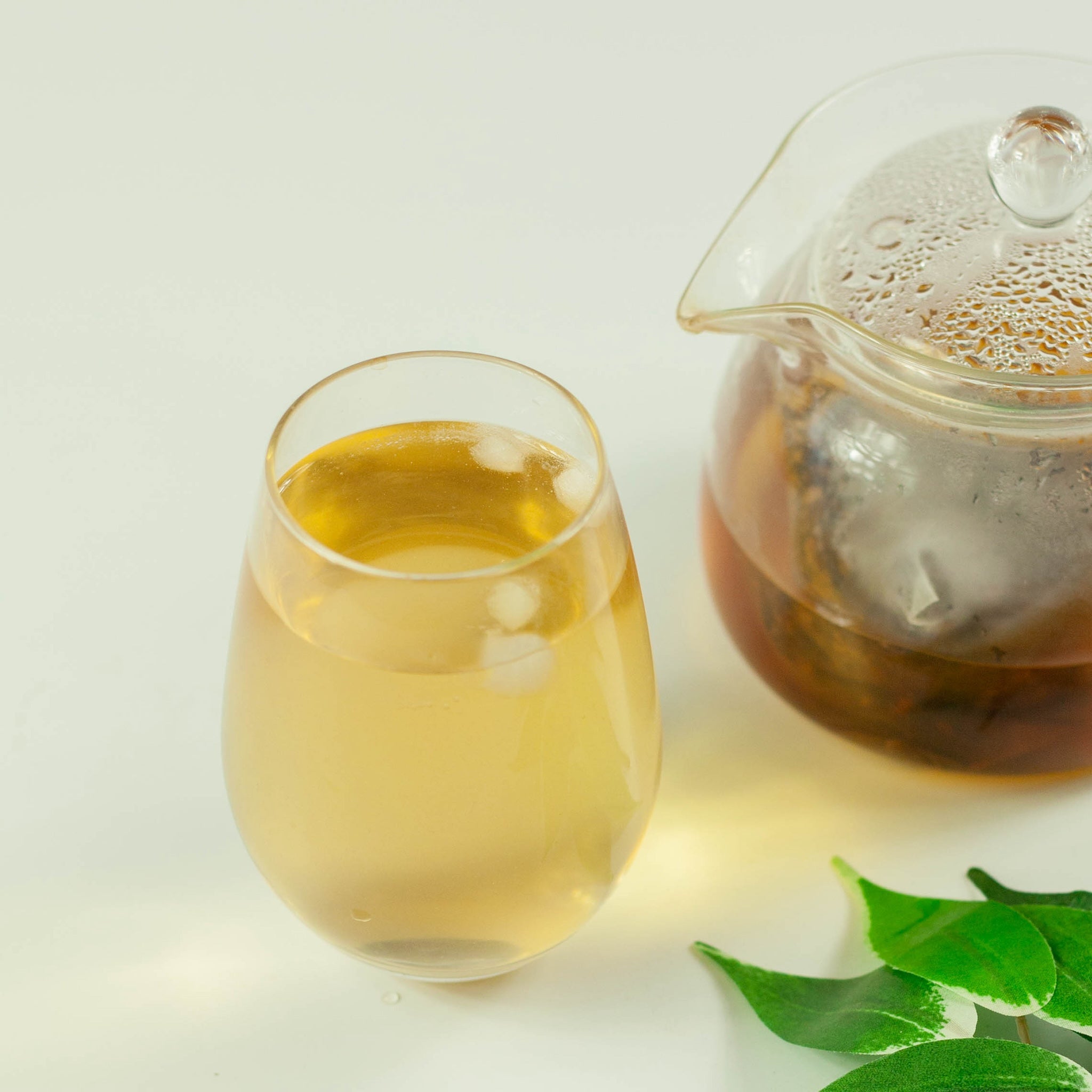 Cold Brew Mugicha Barley Tea (10 bags)