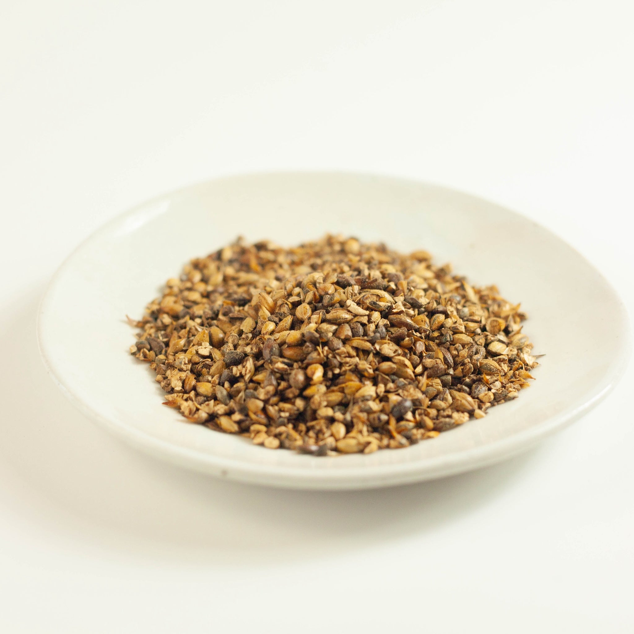 Cold Brew Mugicha Barley Tea (10 bags)
