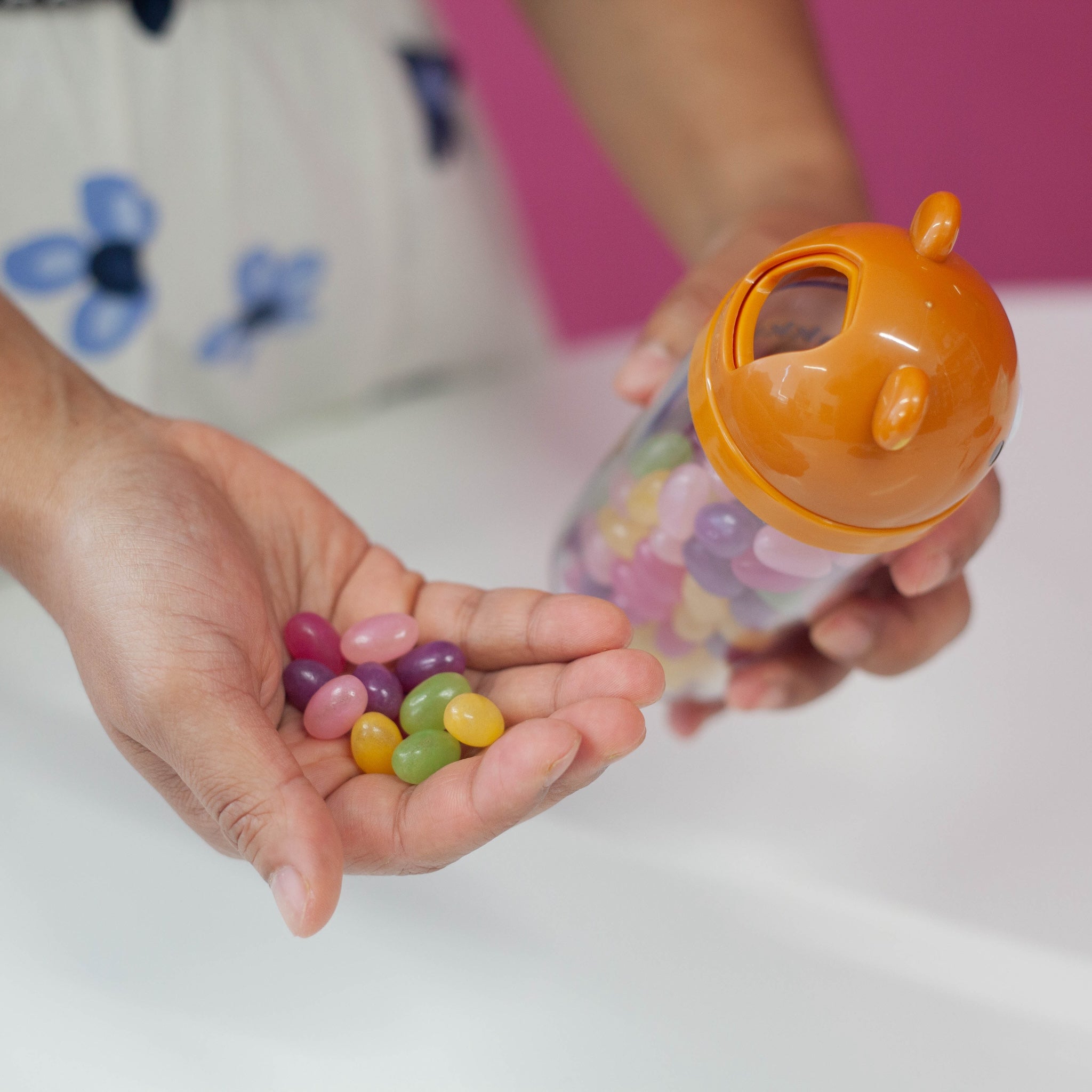 Rilakkuma Furikake Case (220ml)