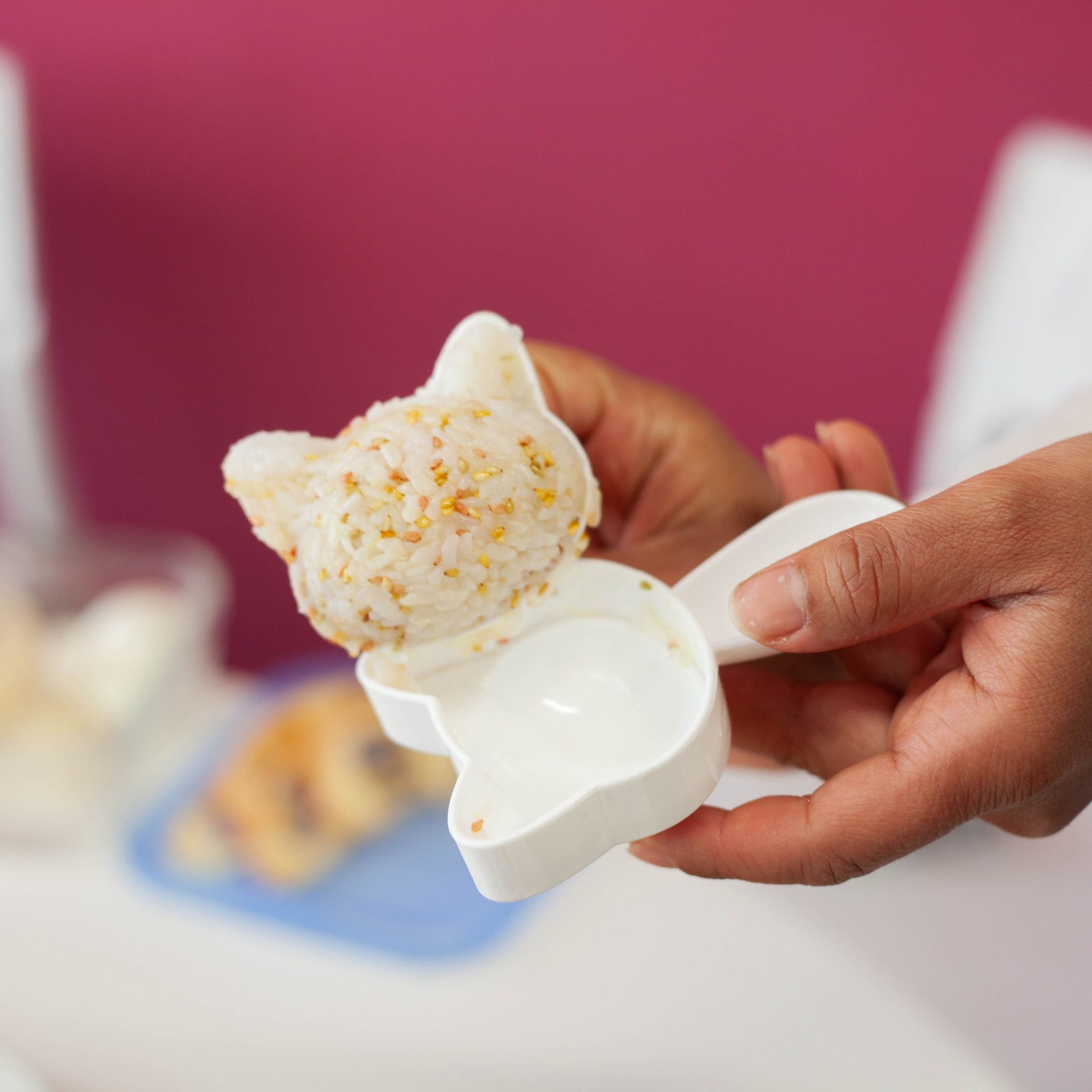 Neko Kao Onigiri Set