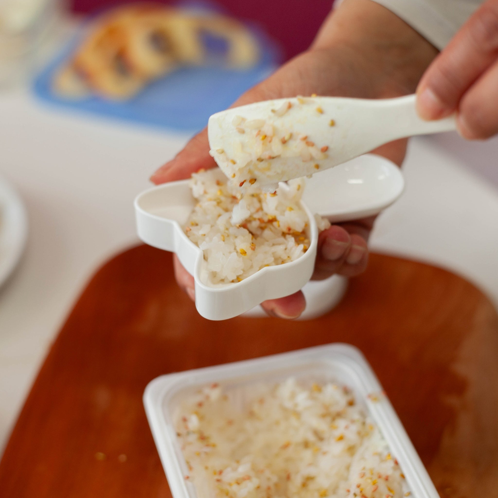 Neko Kao Onigiri Set