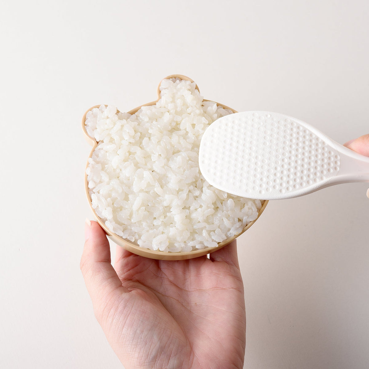 Panda to Kuma Rice Mold Set