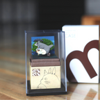 Display Case for Miniatuart