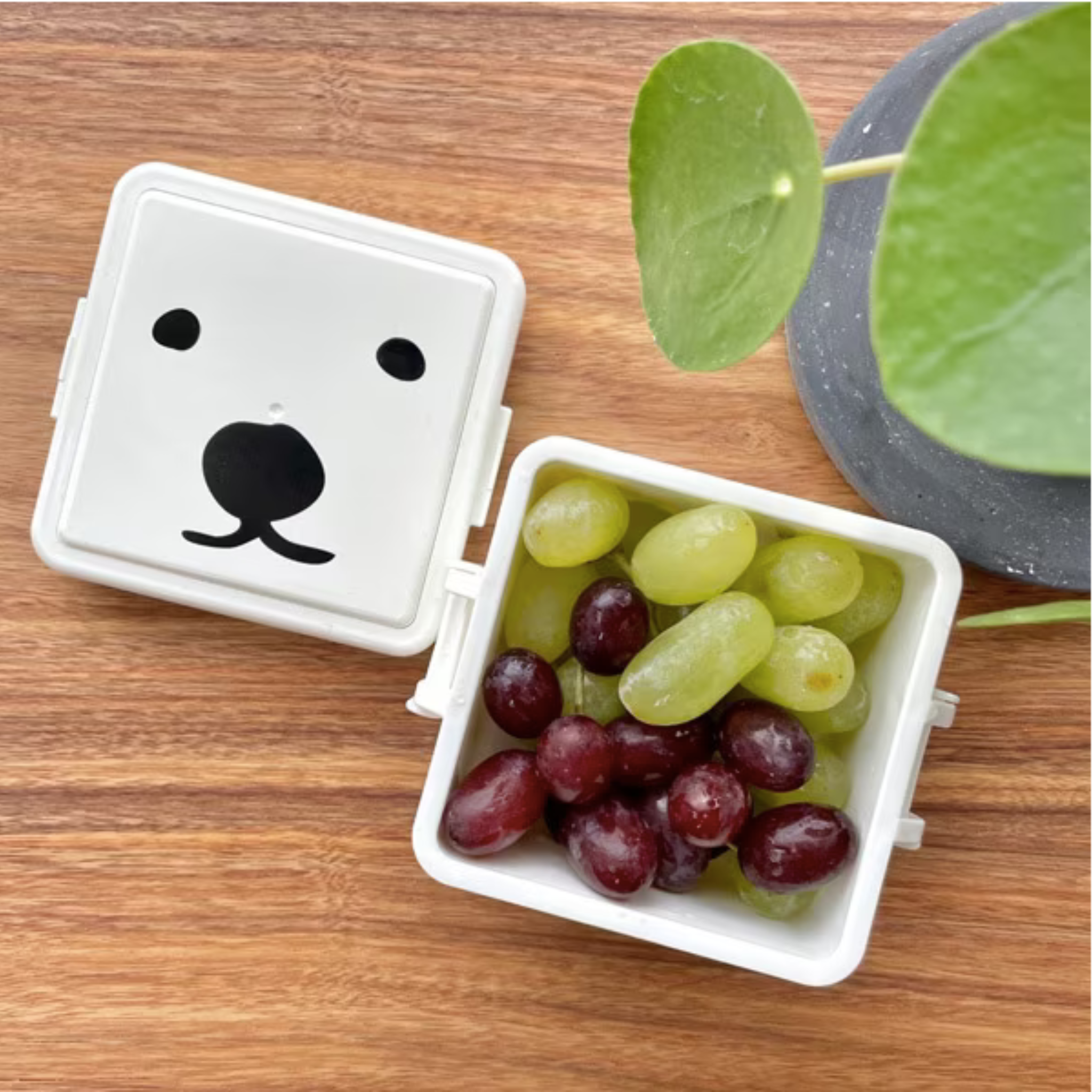 GEL-COOma Bento Box | Klein (220 ml)