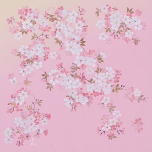 Hanasaki Sakura Furoshiki | 70cm