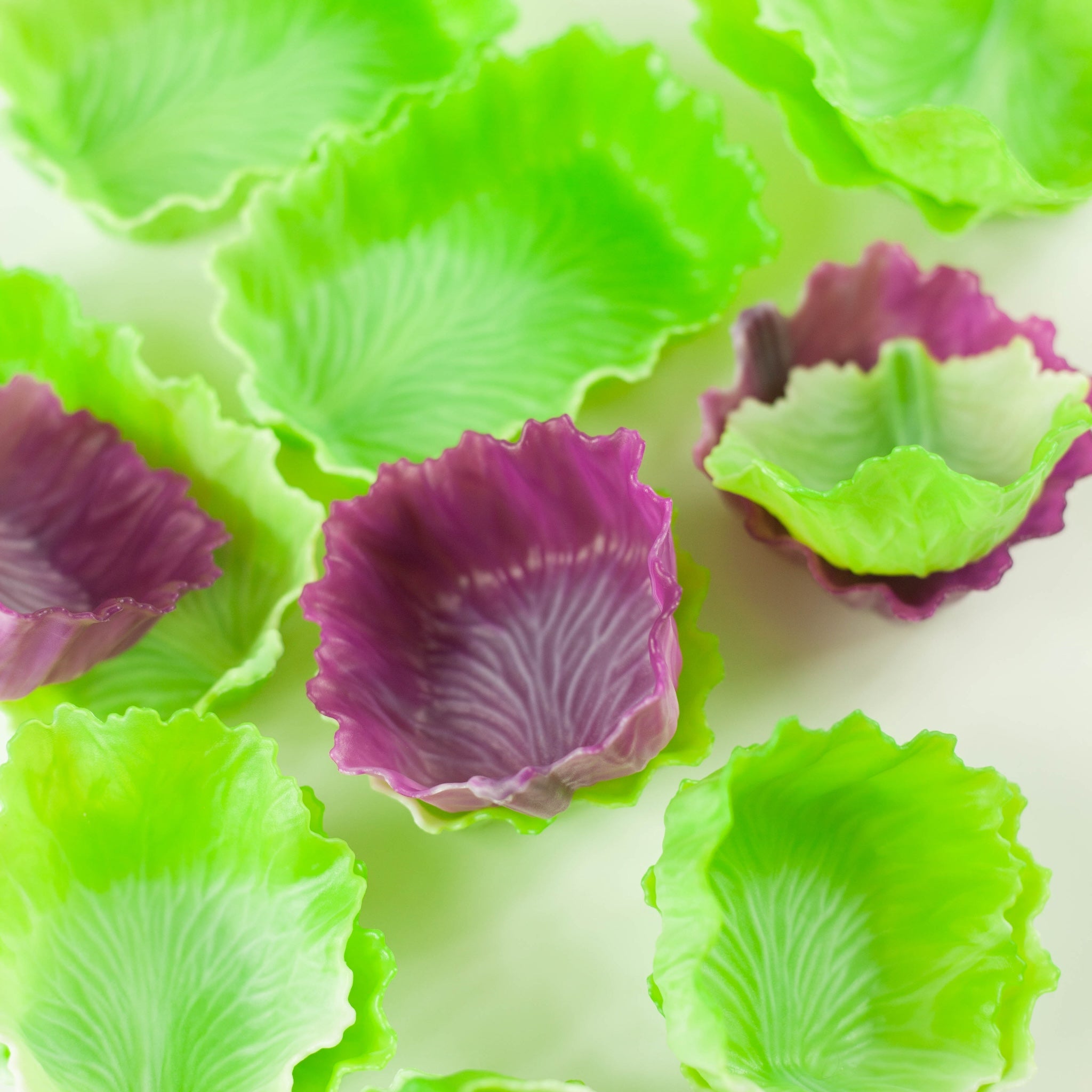 Tazas de verduras verdes | Hojas 