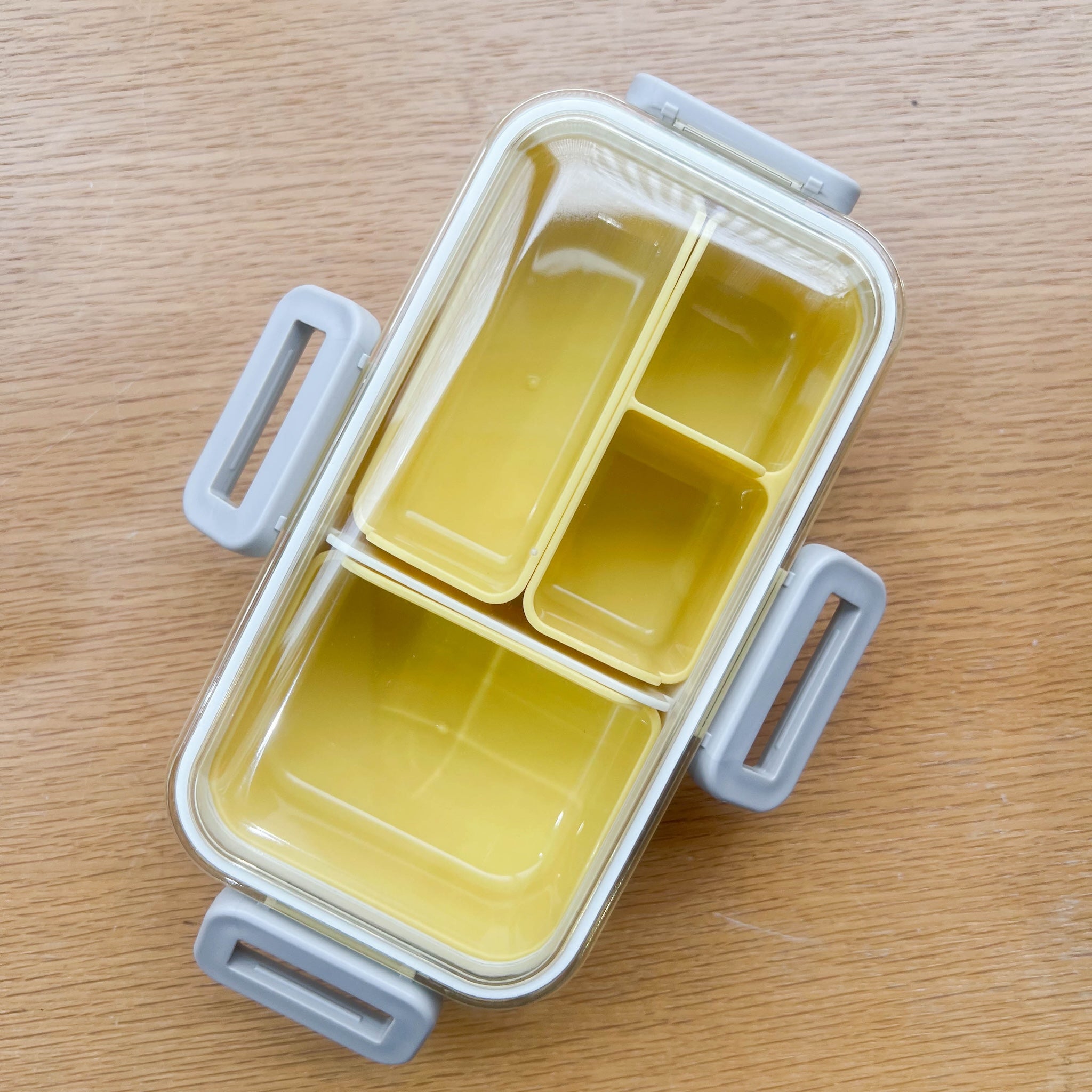 Shikiri Slim Bento Box | 530 ml