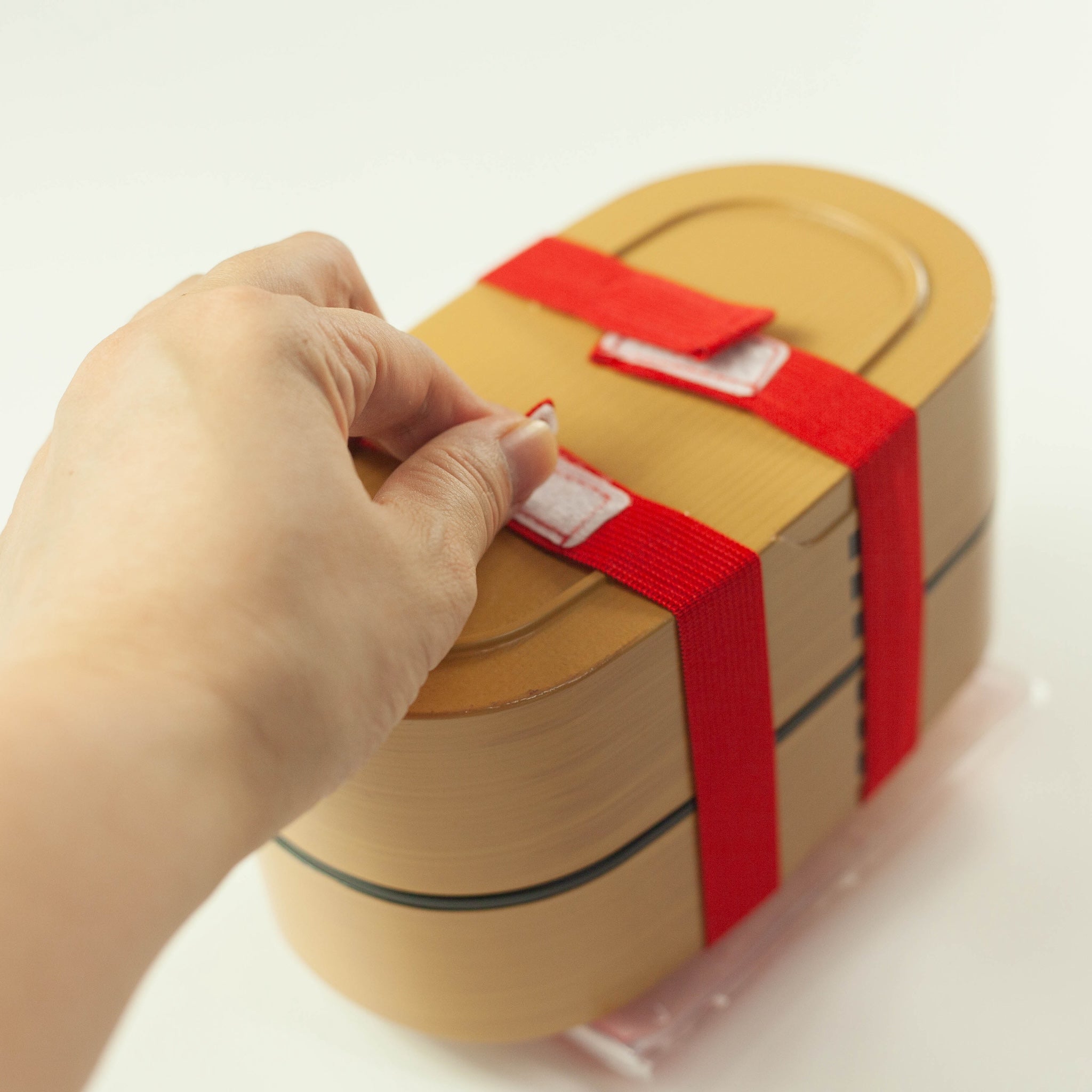 Ice Pack & Lunch Band Set | Snacks