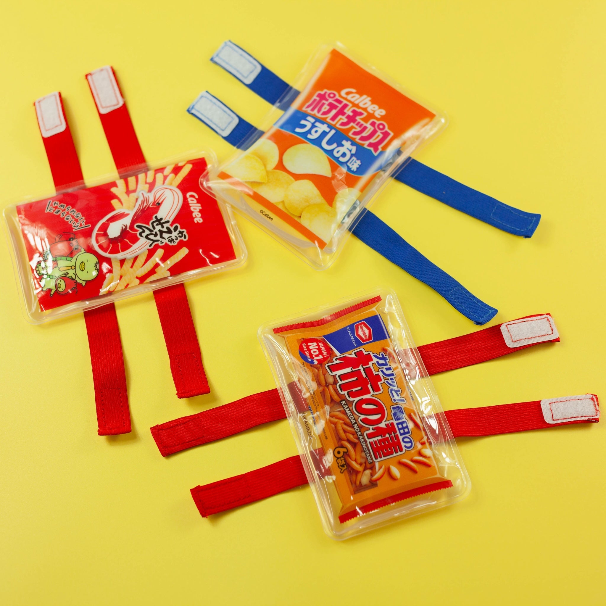 Ice Pack & Lunch Band Set | Snacks