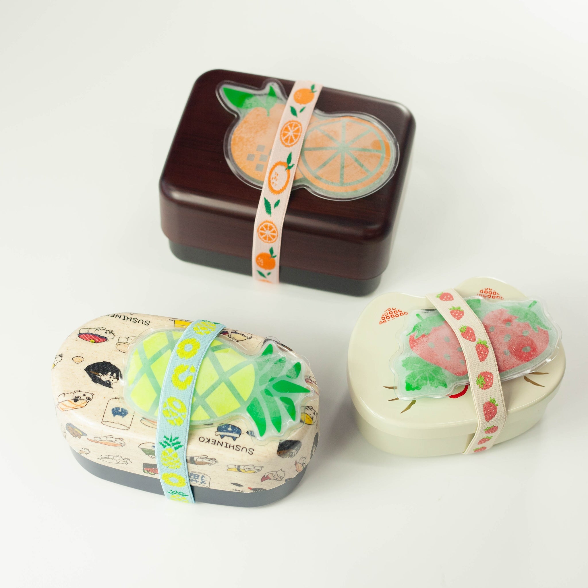Set de bolsa de hielo y banda para el almuerzo | Frutas