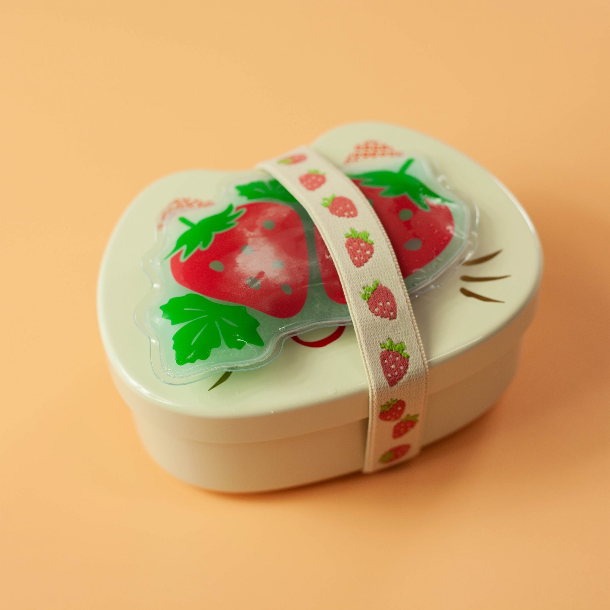 Set de bolsa de hielo y banda para el almuerzo | Frutas