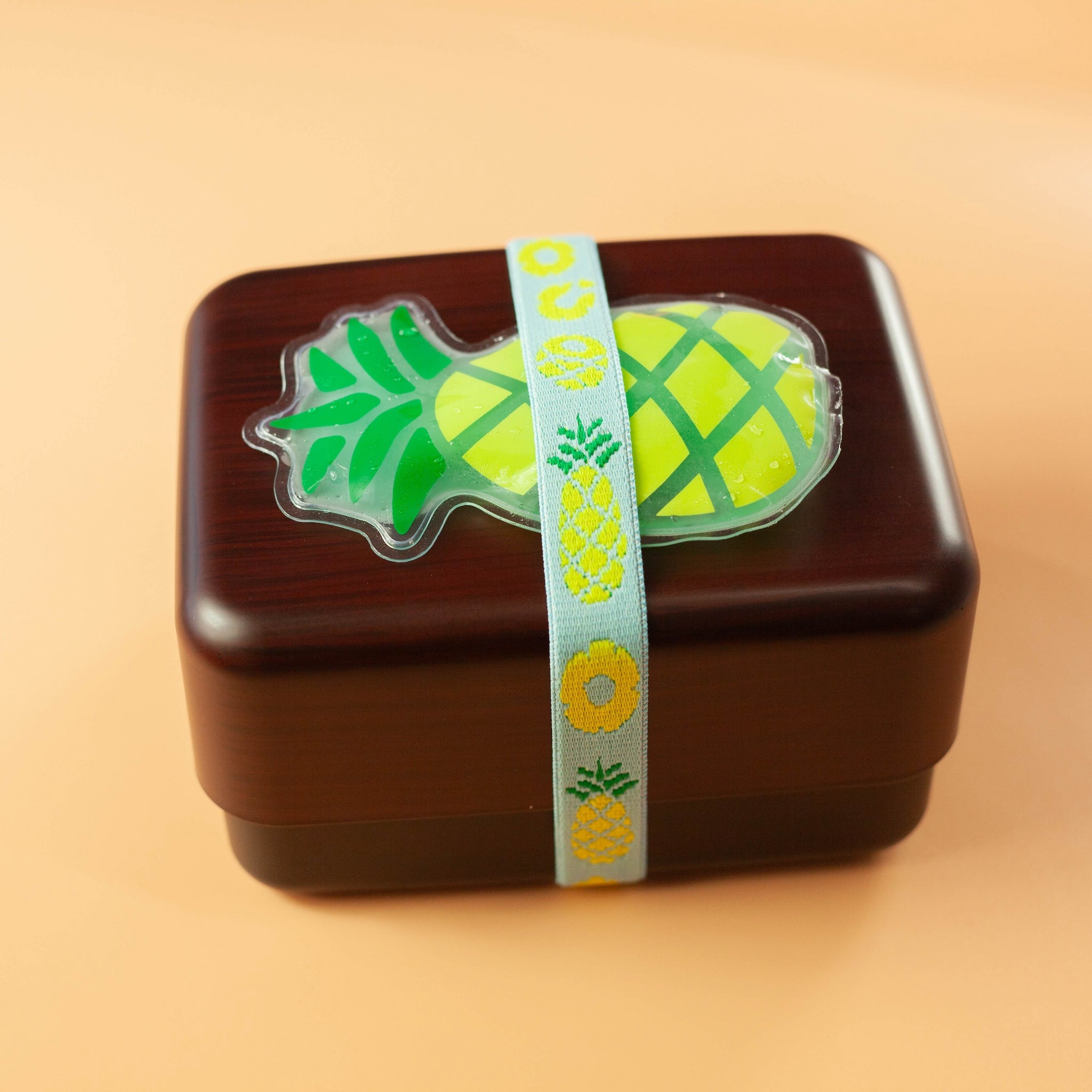 Set de bolsa de hielo y banda para el almuerzo | Frutas