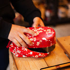 Sakura Usagi Bento Bundle