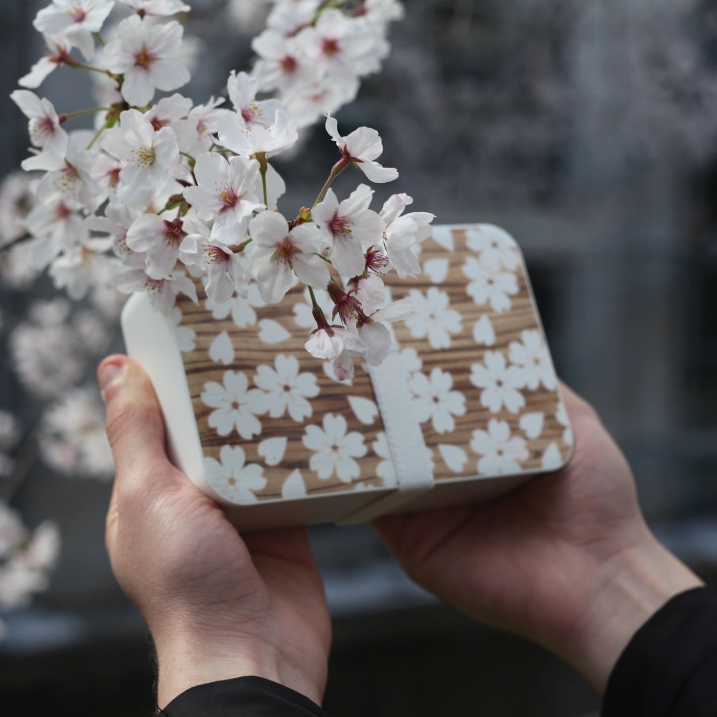 Sakura Mokume Einstöckige Bento-Box | Weiß 600 ml 