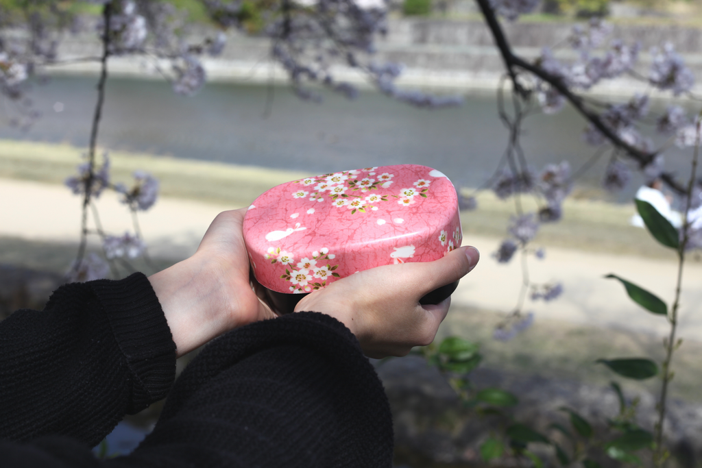 Sakura Rabbit Oval Bento Box 570ml | Pink