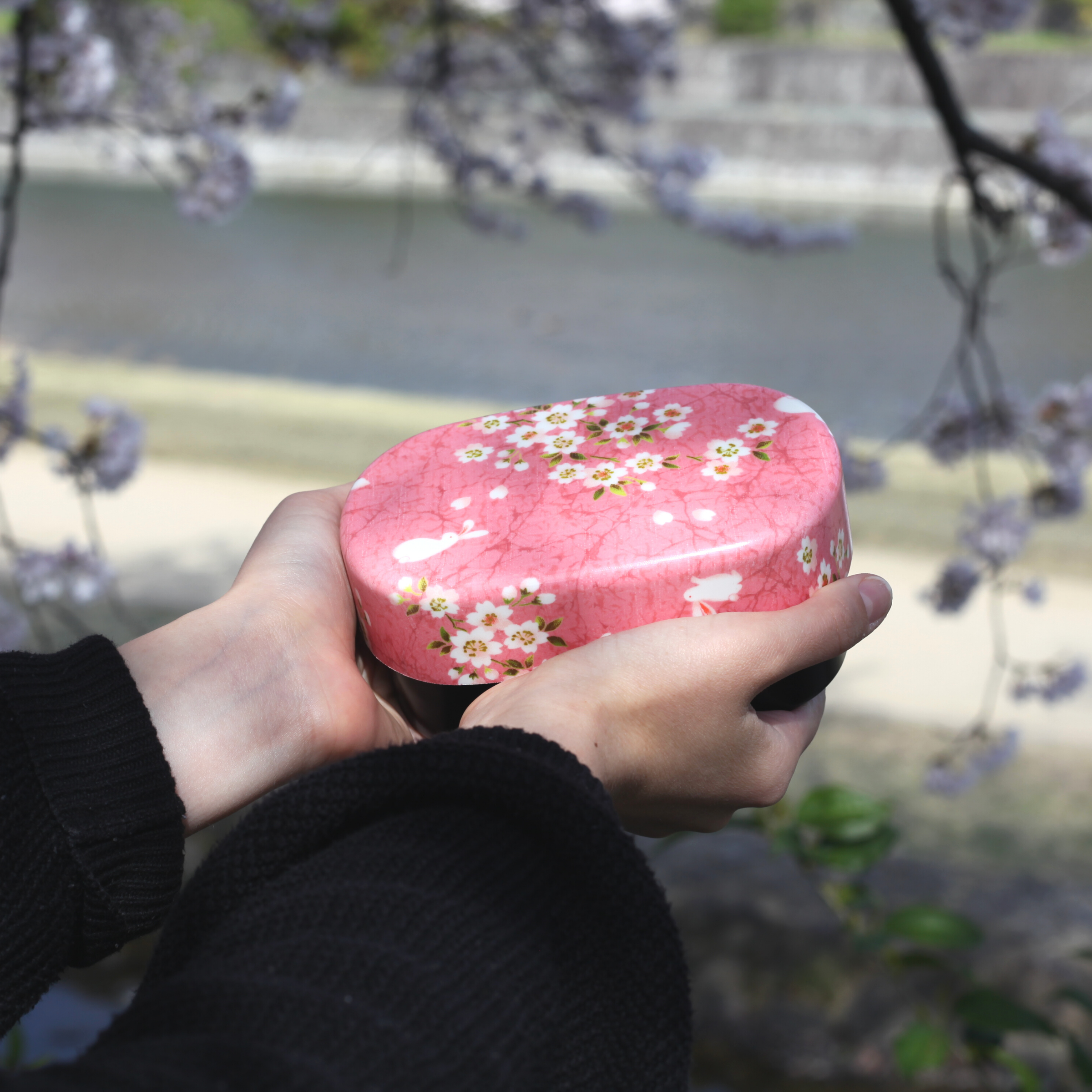Sakura Usagi Bento Box (570mL)
