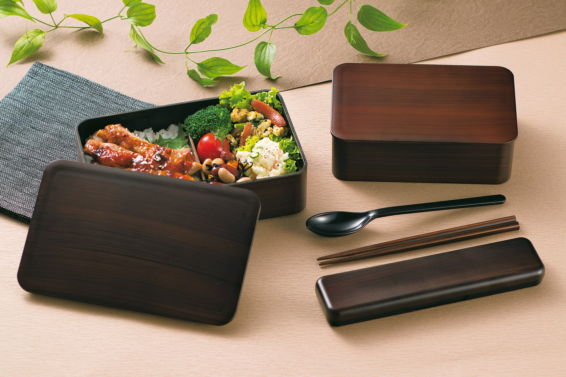 Hakoya Hinoki Plastic Bento Box Eco-Friendly Japanese Lunch Box 30254 –  Japanese Taste