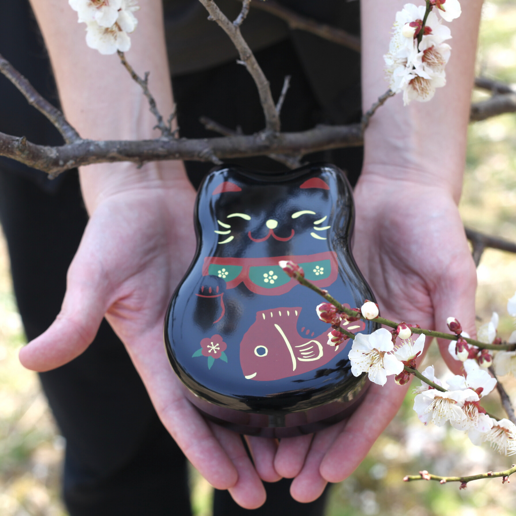 Maruko Cat Two Tier Bento Box | Black