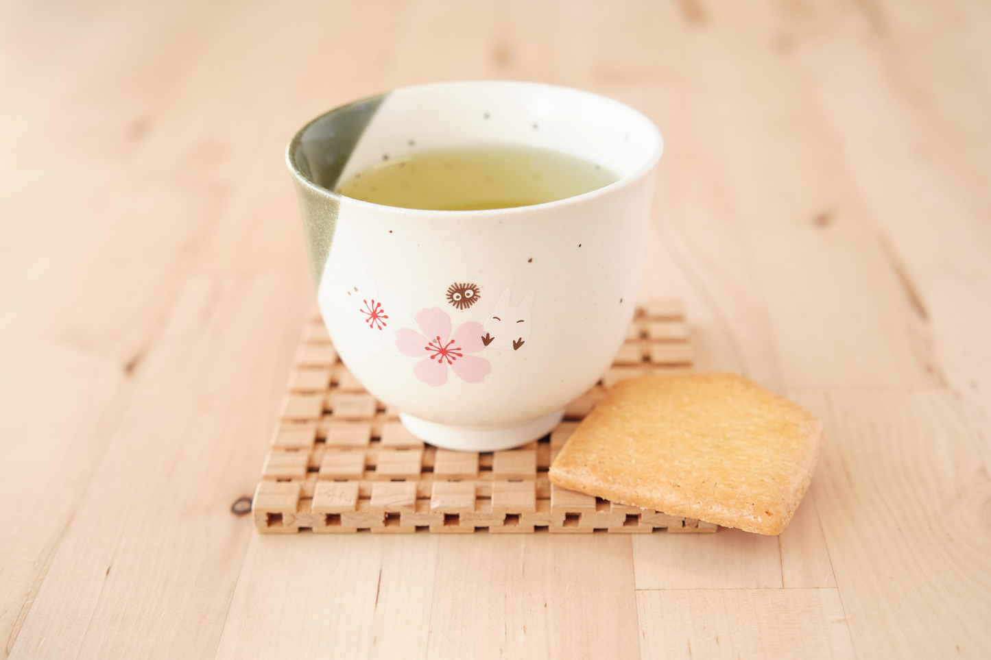 Totoro Mino Yaki Sakura Japanische Teetasse