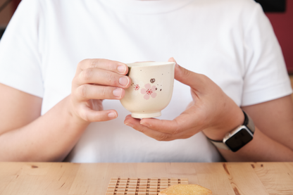 Totoro Mino Yaki Sakura Japanese Tea Cup