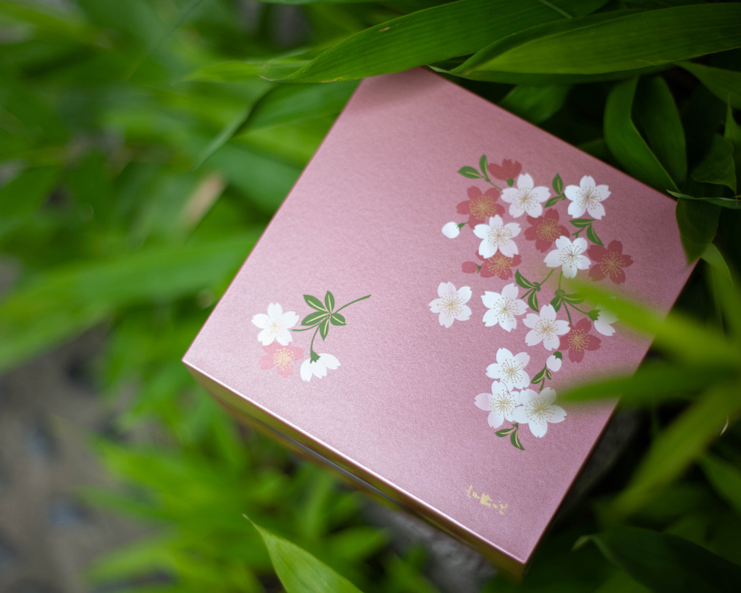 Two-Tier Cherry Blossom Square Bento Box  | Pink by Showa - Bento&co Japanese Bento Lunch Boxes and Kitchenware Specialists