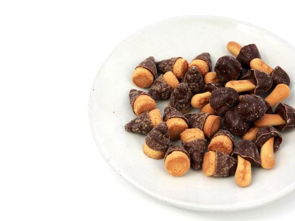 Takenoko Chocolate Biscuits - Bento&co