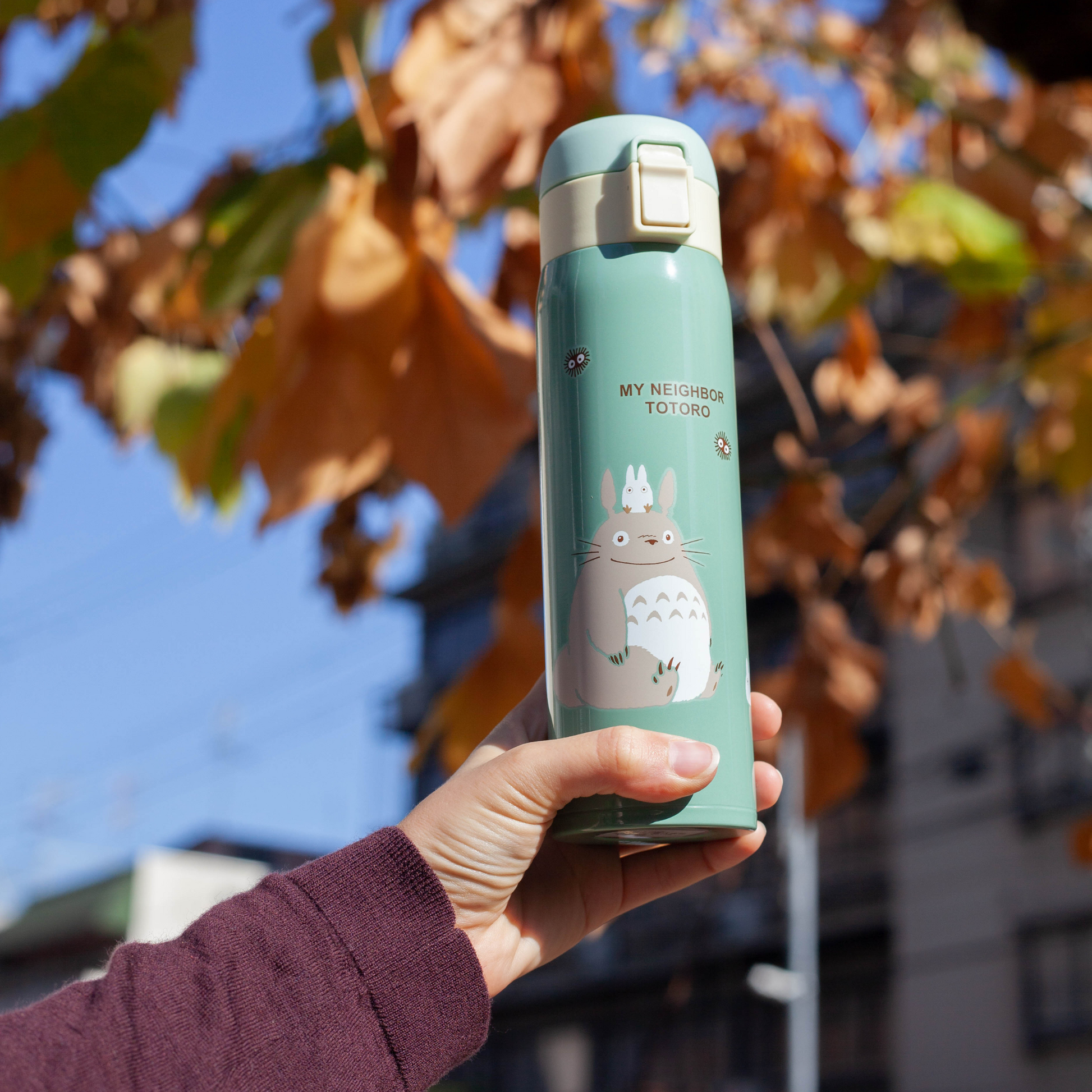 Totoro thermos hotsell